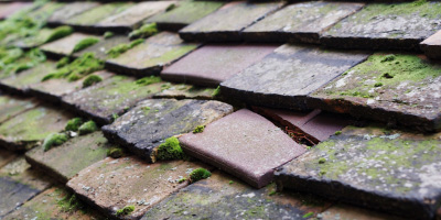 Yelling roof repair costs